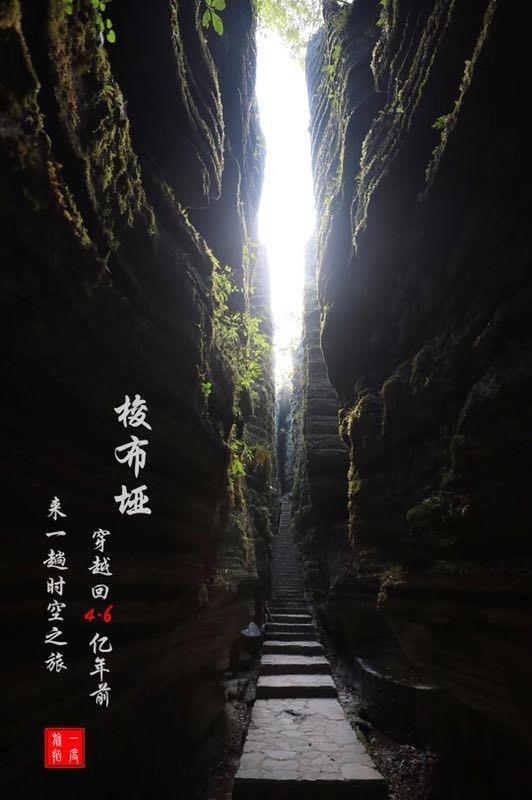 如何自制酱牛肉游戏画面